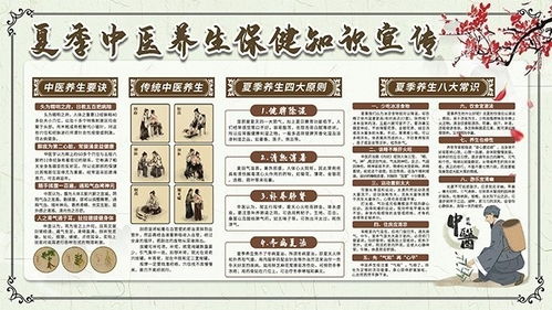 中医养生保健知识宣传与服务的科学指南
